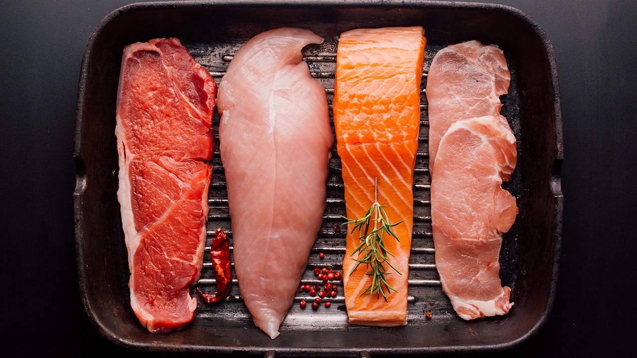 protein diet