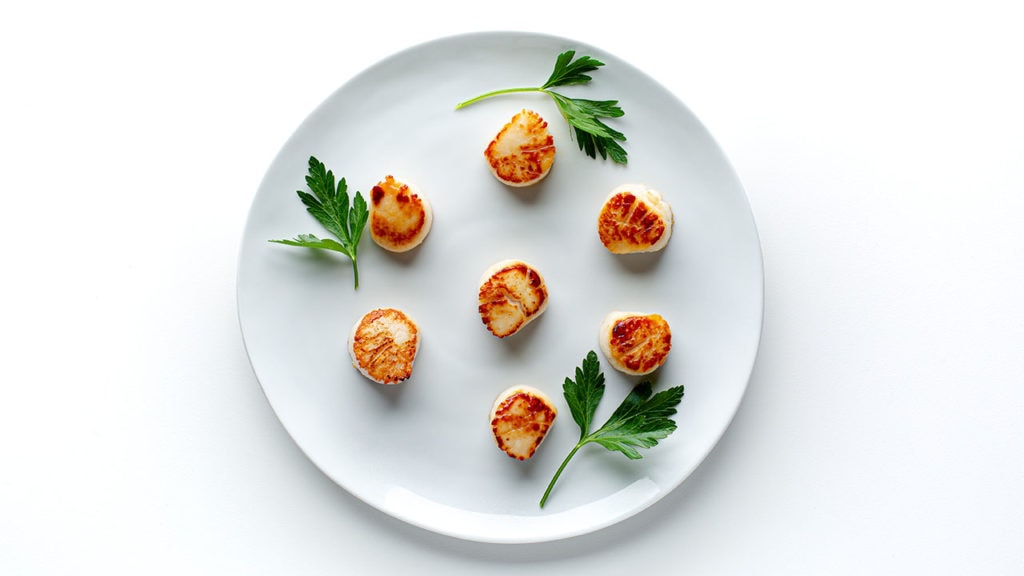 scallops
