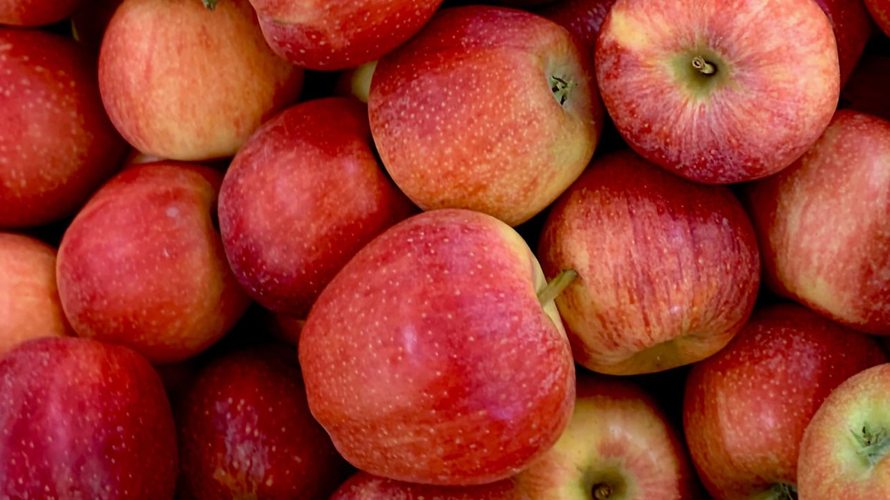 apples