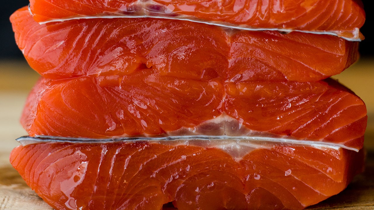 salmon