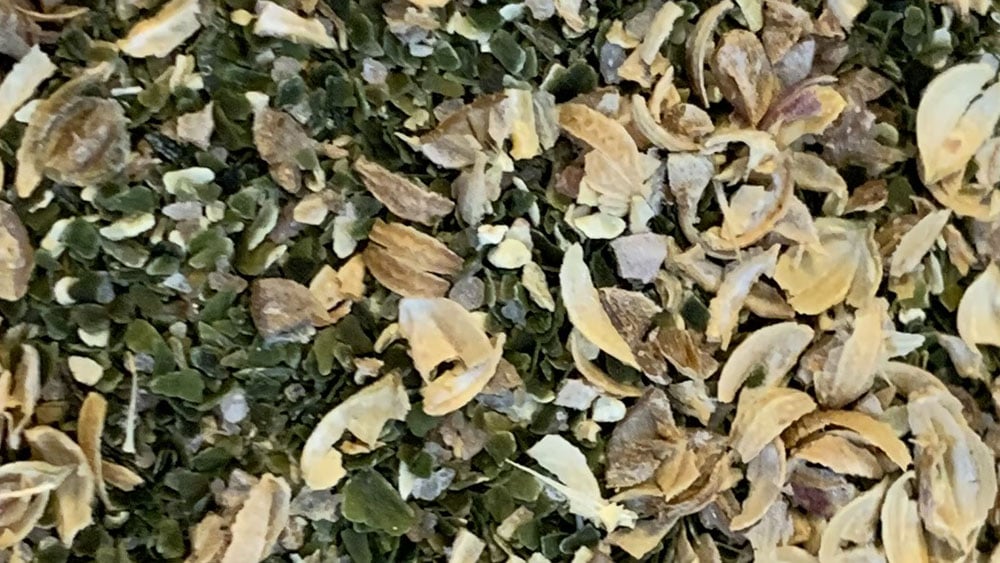 coriander garlic kelp rub for fish