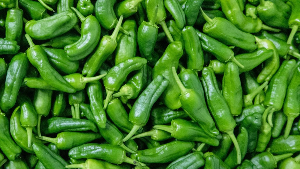 shishito peppers