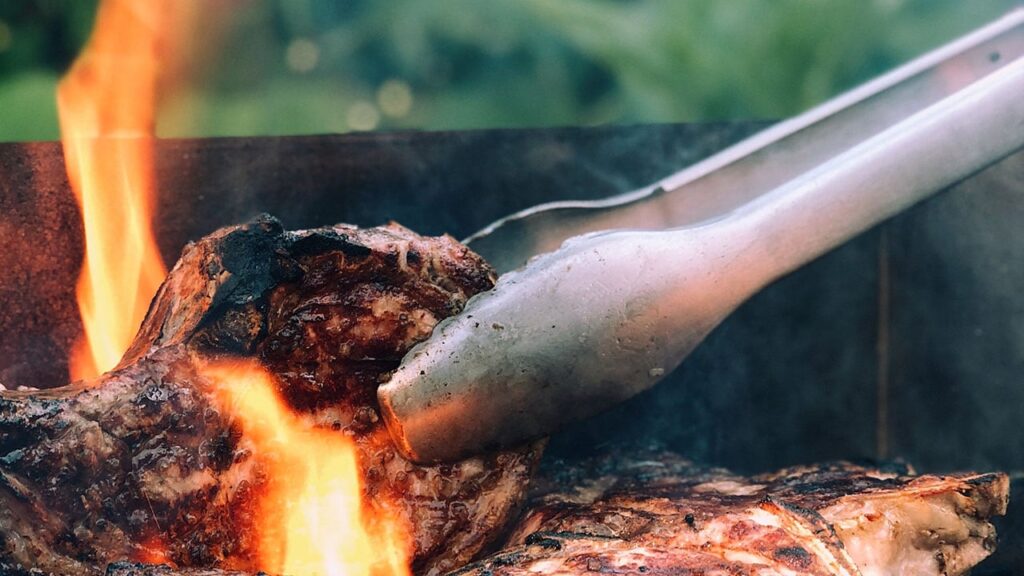 carnivore